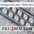 Kamagra Oral Jelly 1 Week Pack 08